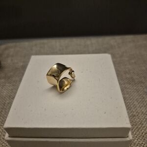 Elegant Gold Earrings